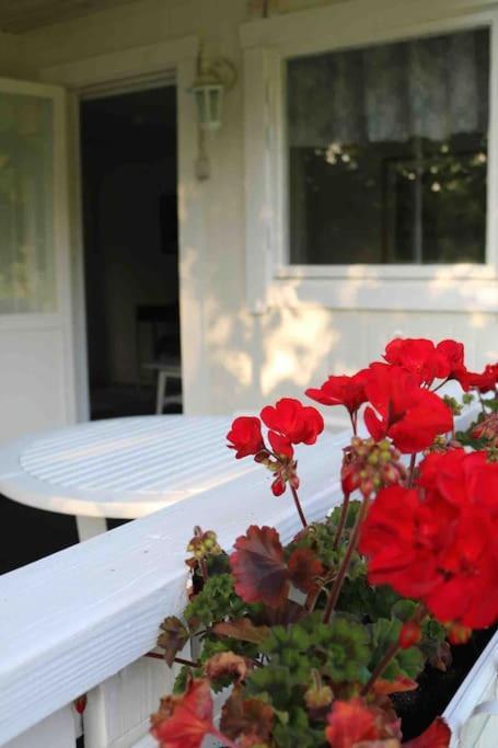 Aengelsbaecksstugan Båstad المظهر الخارجي الصورة